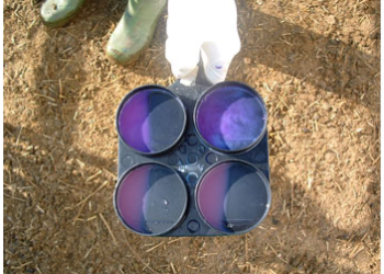 the costs of mastitis test (CMT) in sheep and goats