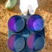 Analyzing Mastitis costs in sheep and goats (California mastitis test, CMT)