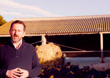 Clostridiose chez les Ruminants