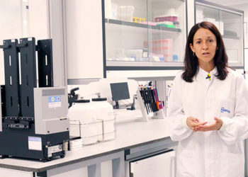 Αποβολές σε μικρά μηρυκαστικά: Η σημασία της διάγνωσης και οι διαθέσιμες τεχνικές