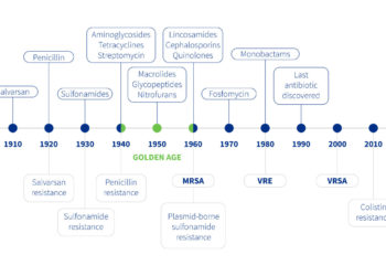 History of antibiotics: the battle between humans and bacteria
