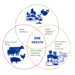 Antimicrobial resistance and “One Health”: everything is connected