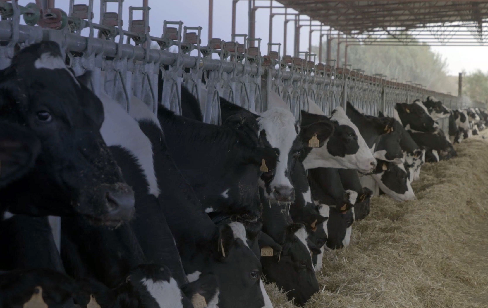 Switch off the nonSwitch off the non-rational use of antibiotics