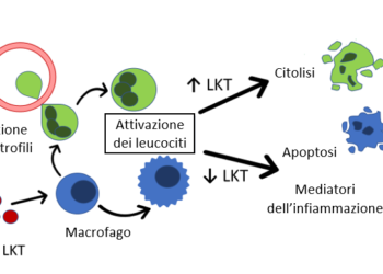 Il complesso respiratorio ovino: impariamo a conoscerlo