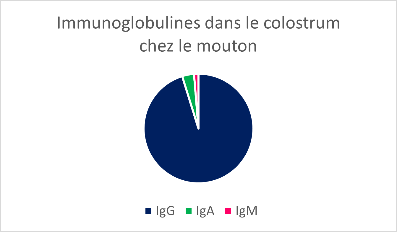 Proportion de chaque type d’immunoglobuline dans le colostrum de la brebis. 