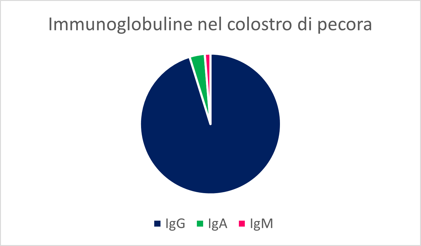 Proporzione di ciascun tipo di immunoglobuline nel colostro di pecora