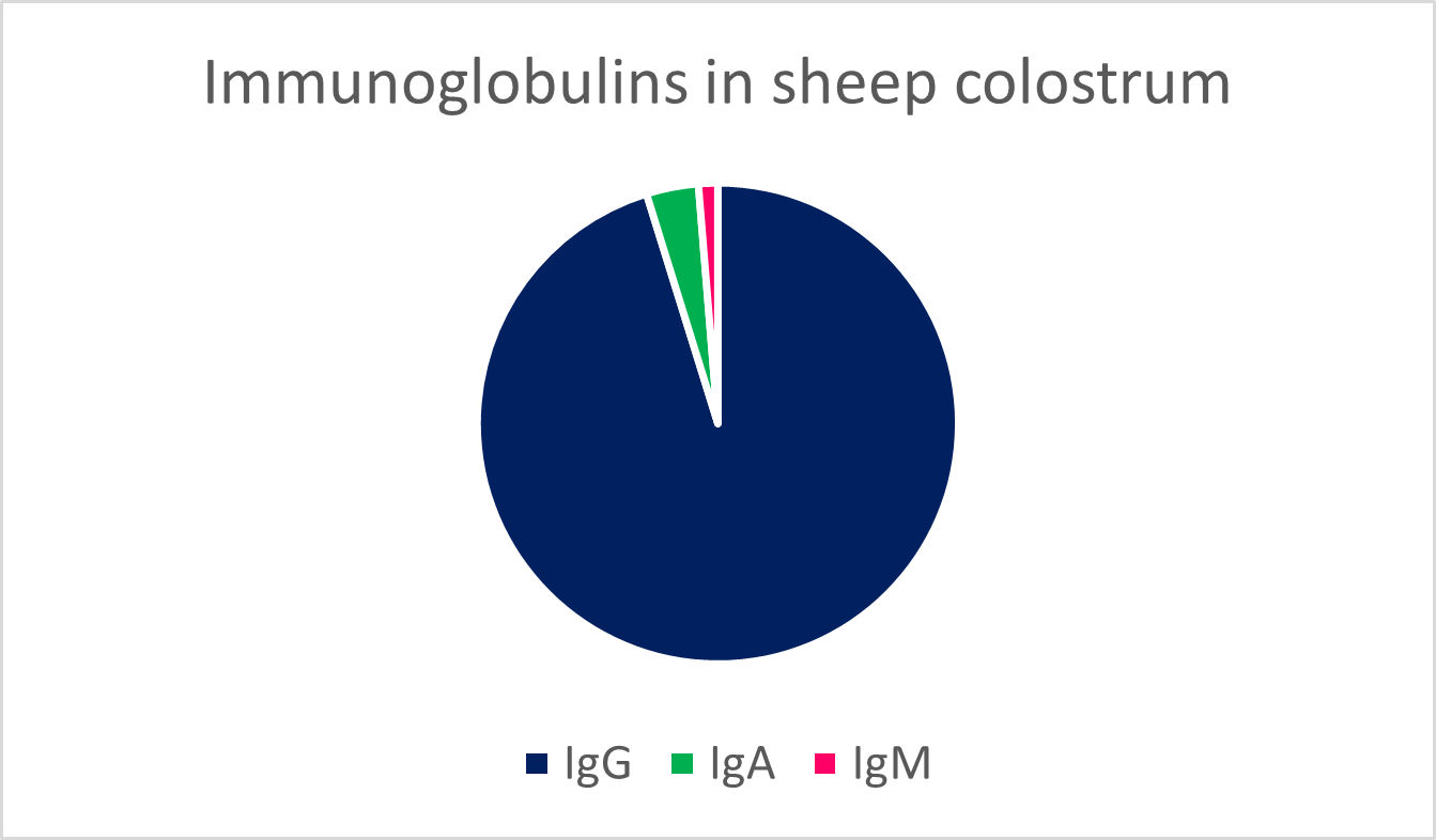 immunoglobulins in sheep colostrum 