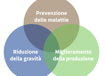 L’investimento più strategico: È redditizio vaccinare il gregge?