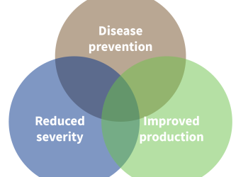 The most strategic investment: Is it profitable to vaccinate the herd?