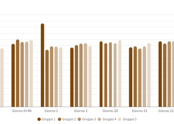 Uno studio conferma la sicurezza di un vaccino inattivato contro la Chlamydia nell’ultimo mese di gestazione