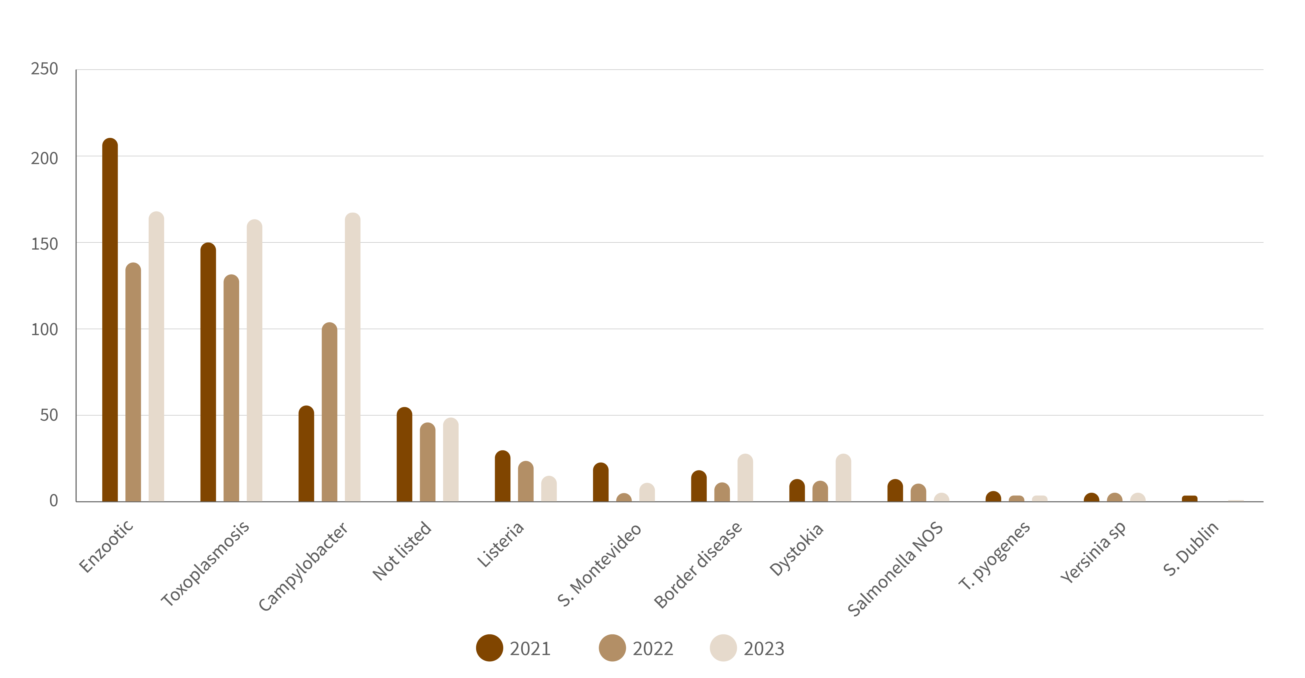 Causes of sheep abortion