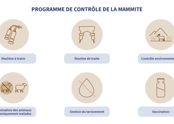 programme de contrôle de la mammite