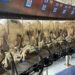 good udder conformation